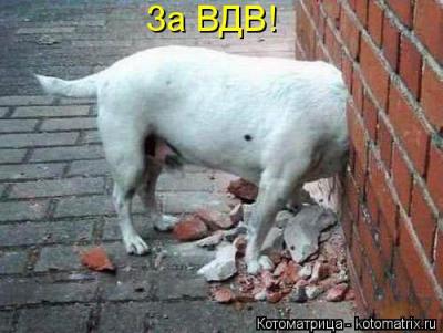 Прикрепленное изображение: kotomatritsa_Mt.jpg